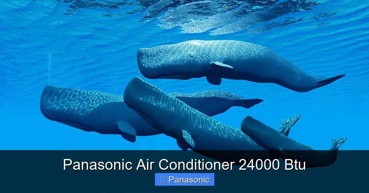 Panasonic Air Conditioner 24000 Btu