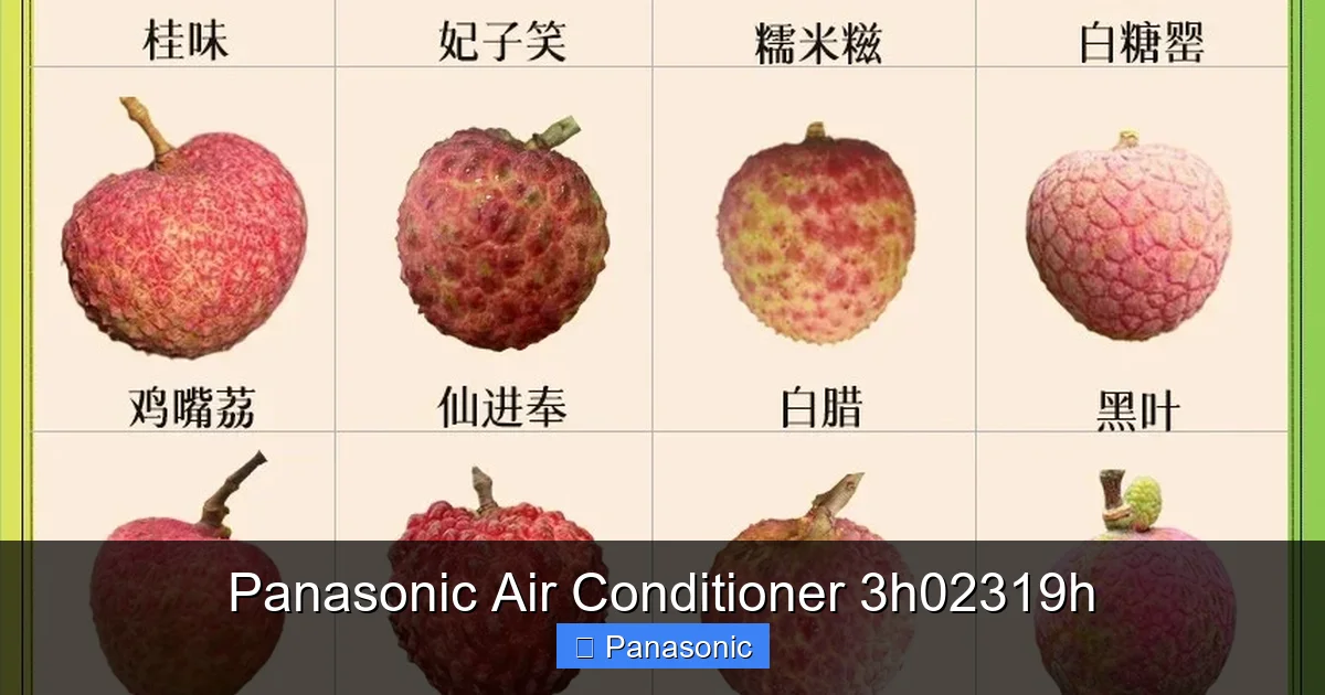 Panasonic Air Conditioner 3h02319h