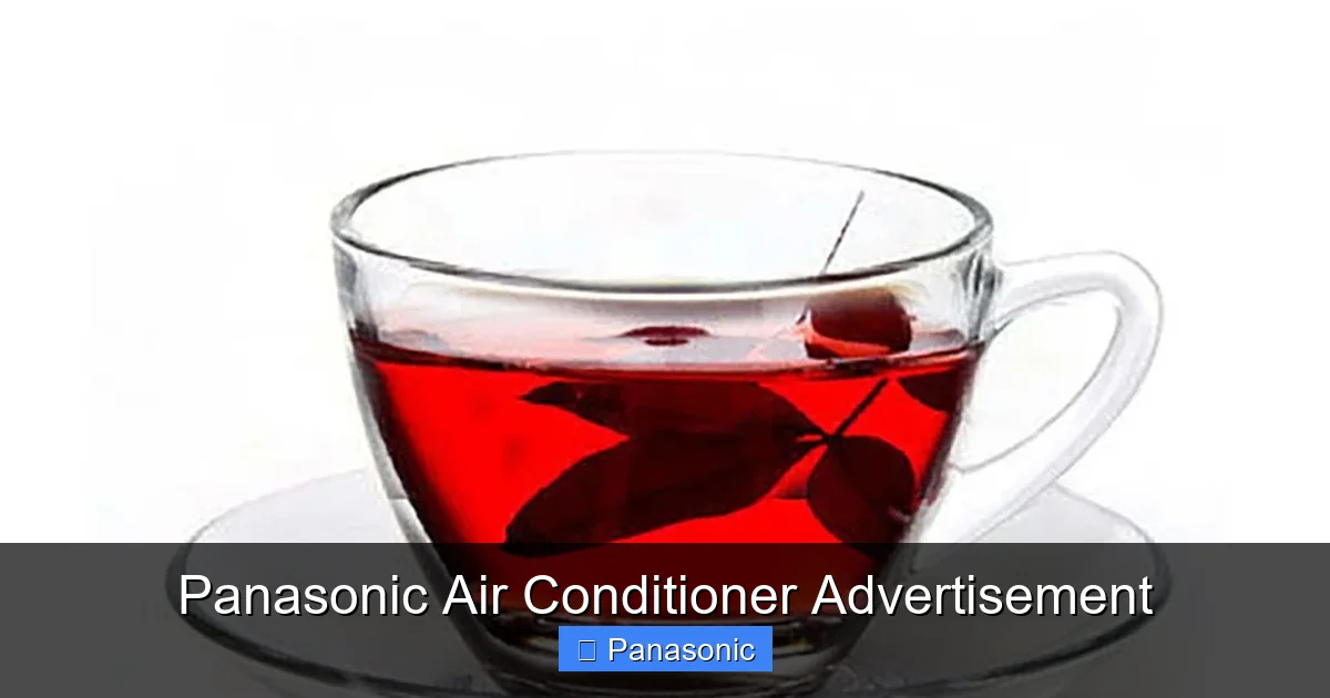Panasonic Air Conditioner Advertisement