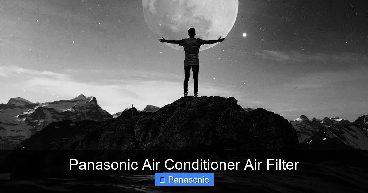 Panasonic Air Conditioner Air Filter
