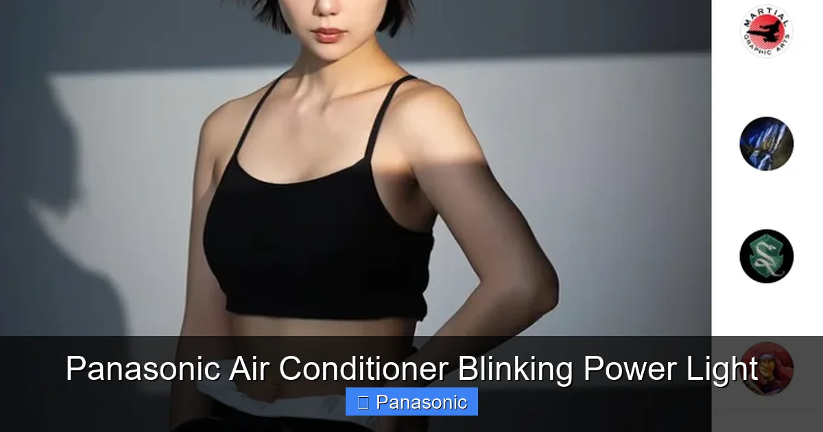 Panasonic Air Conditioner Blinking Power Light