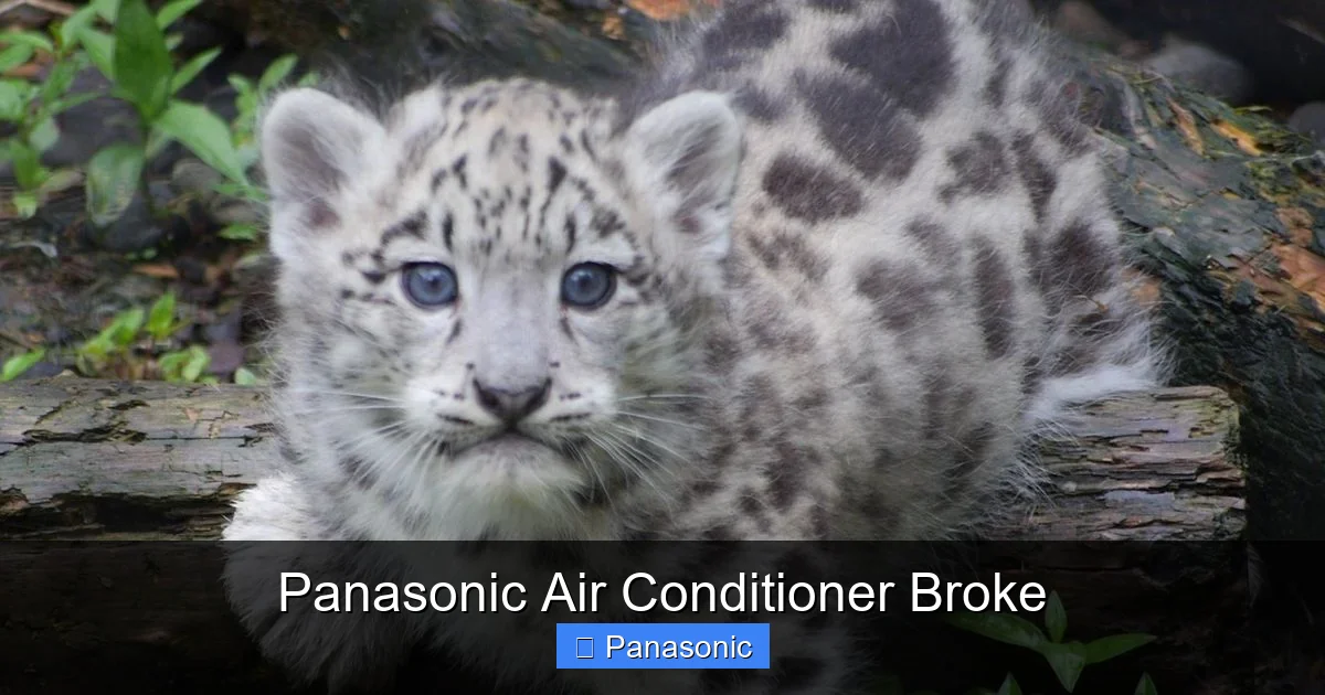 Panasonic Air Conditioner Broke