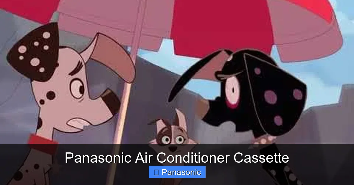 Panasonic Air Conditioner Cassette