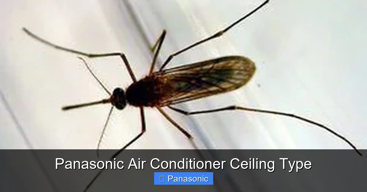 Panasonic Air Conditioner Ceiling Type