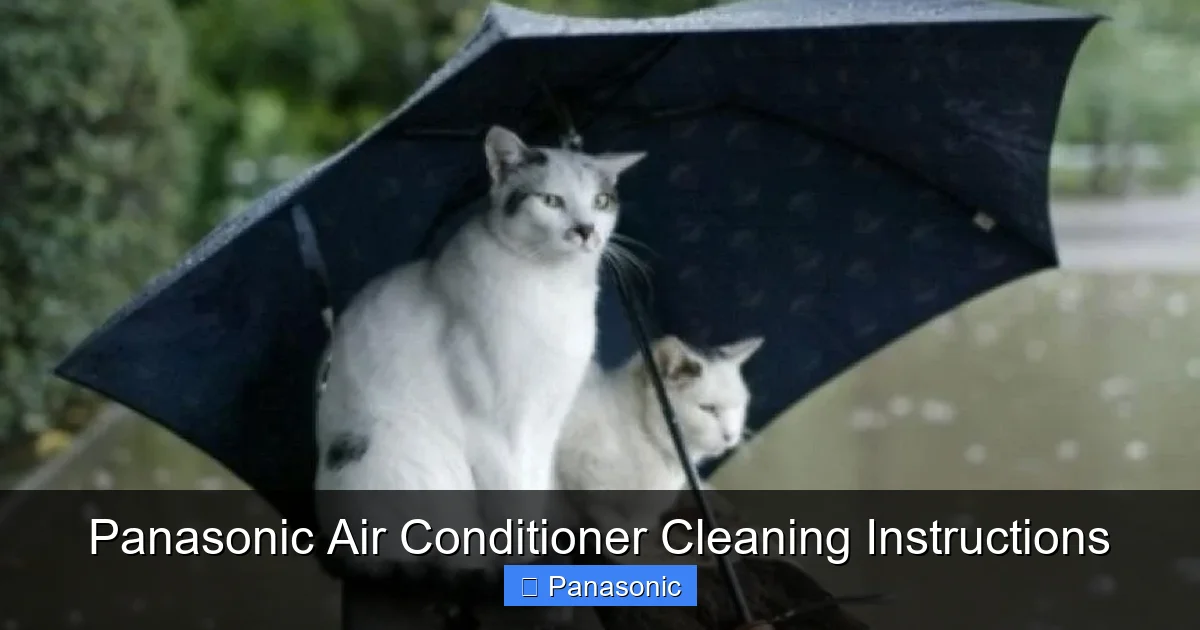 Panasonic Air Conditioner Cleaning Instructions