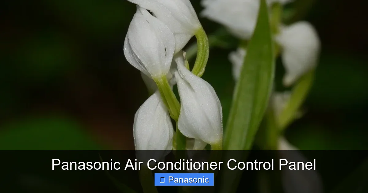 Panasonic Air Conditioner Control Panel