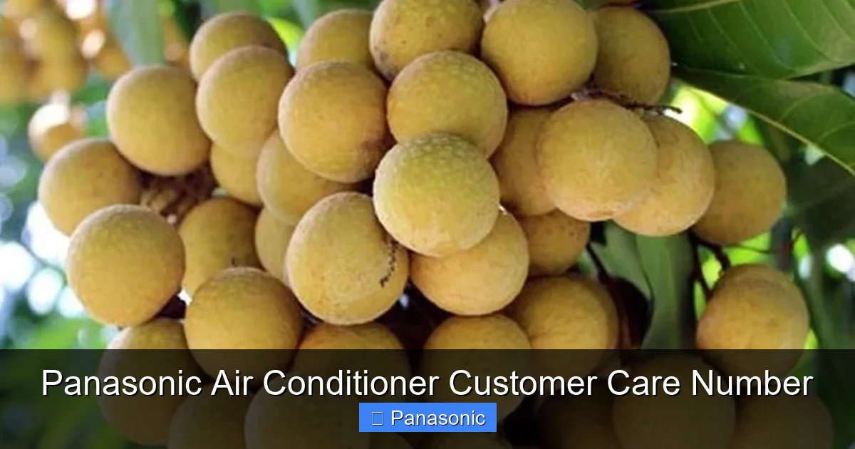 Panasonic Air Conditioner Customer Care Number