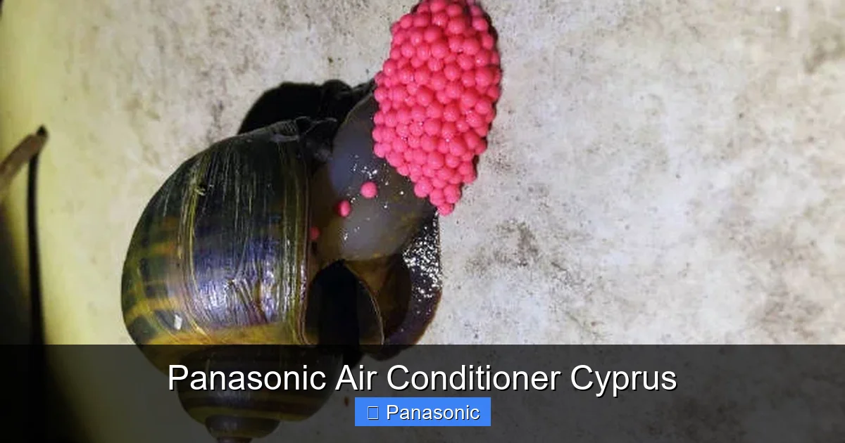 Panasonic Air Conditioner Cyprus