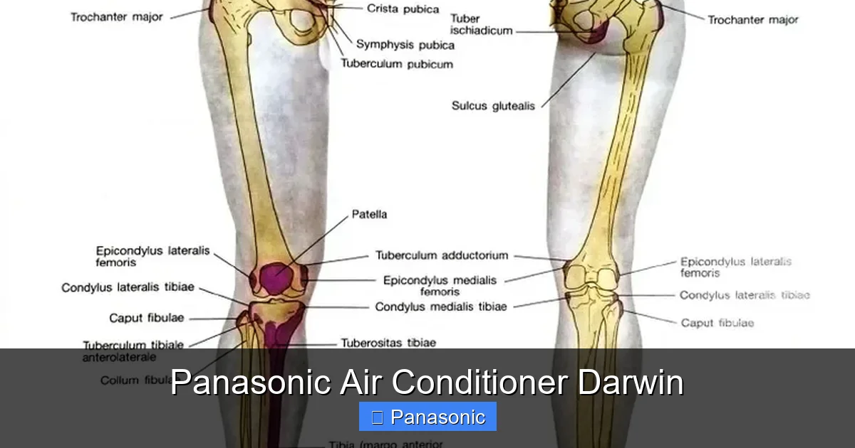 Panasonic Air Conditioner Darwin