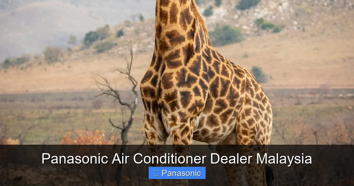Panasonic Air Conditioner Dealer Malaysia