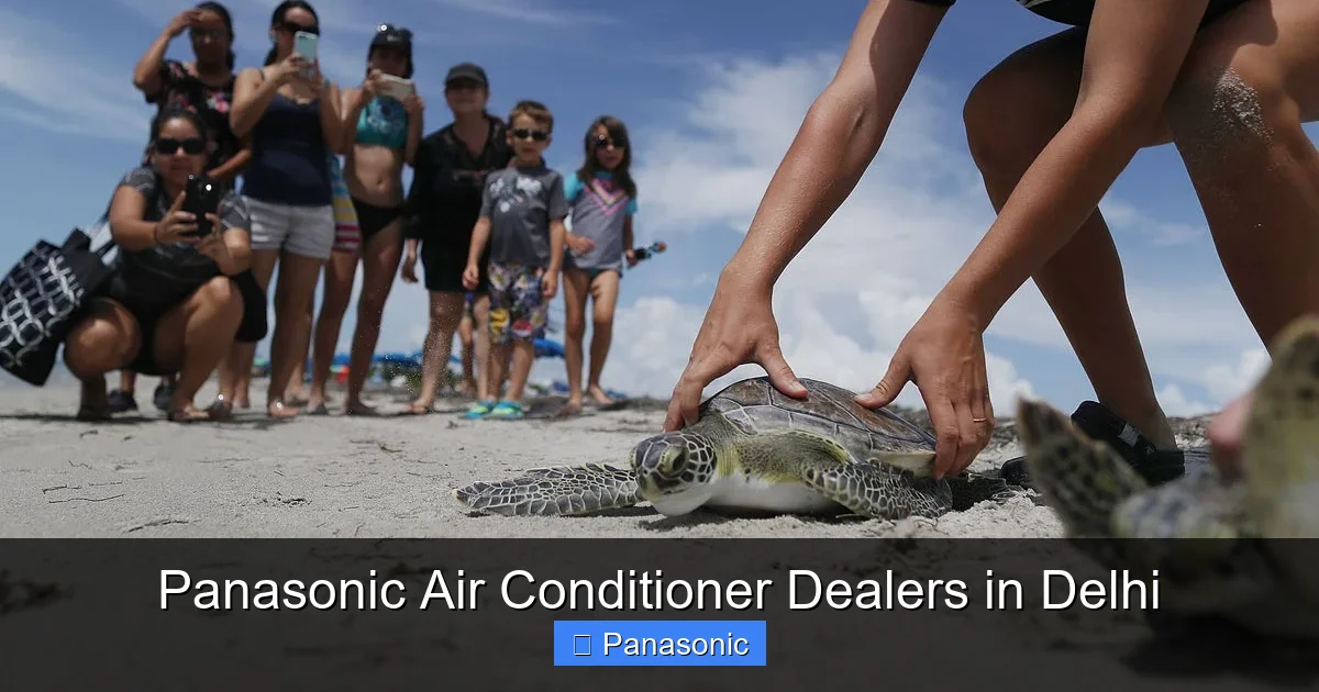 Panasonic Air Conditioner Dealers in Delhi