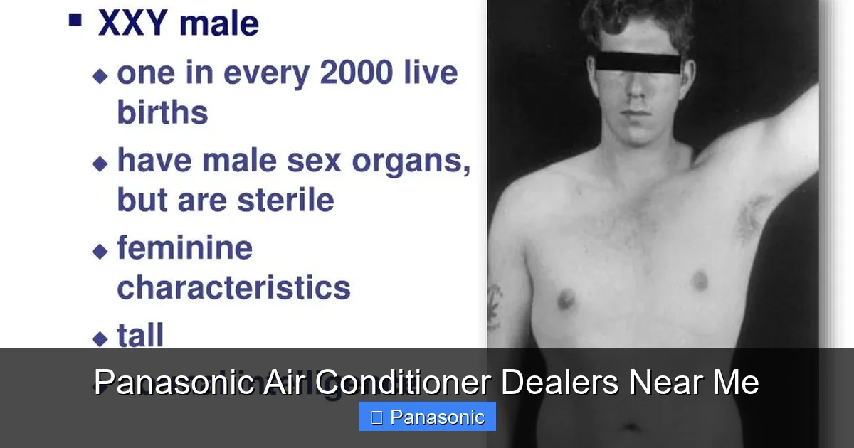 Panasonic Air Conditioner Dealers Near Me