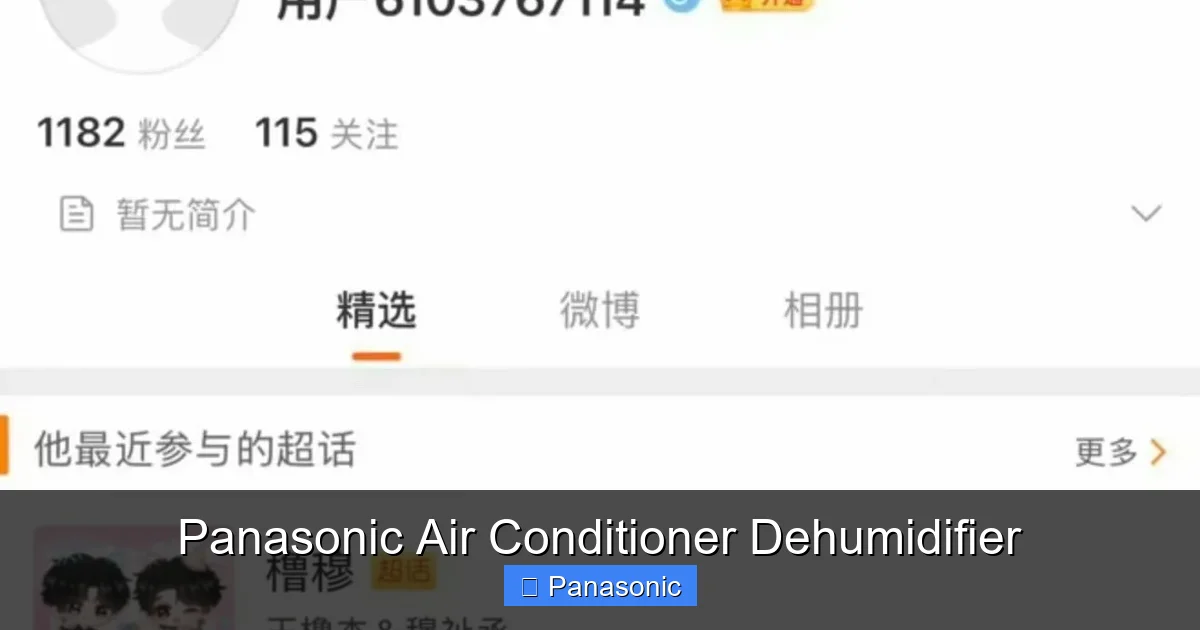 Panasonic Air Conditioner Dehumidifier