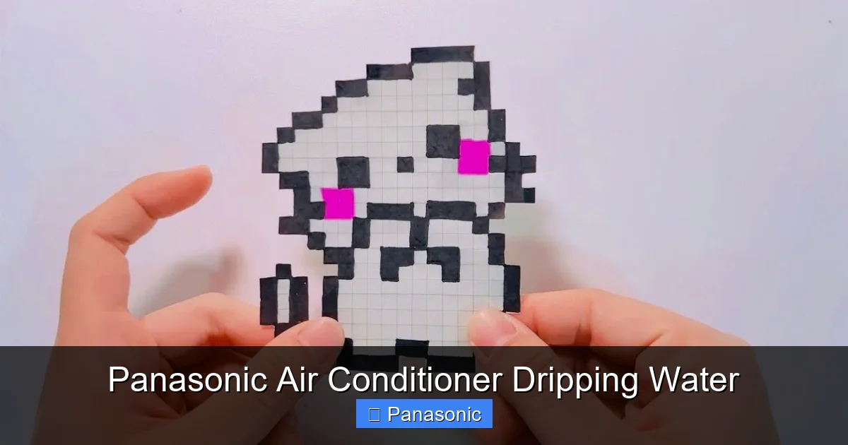 Panasonic Air Conditioner Dripping Water