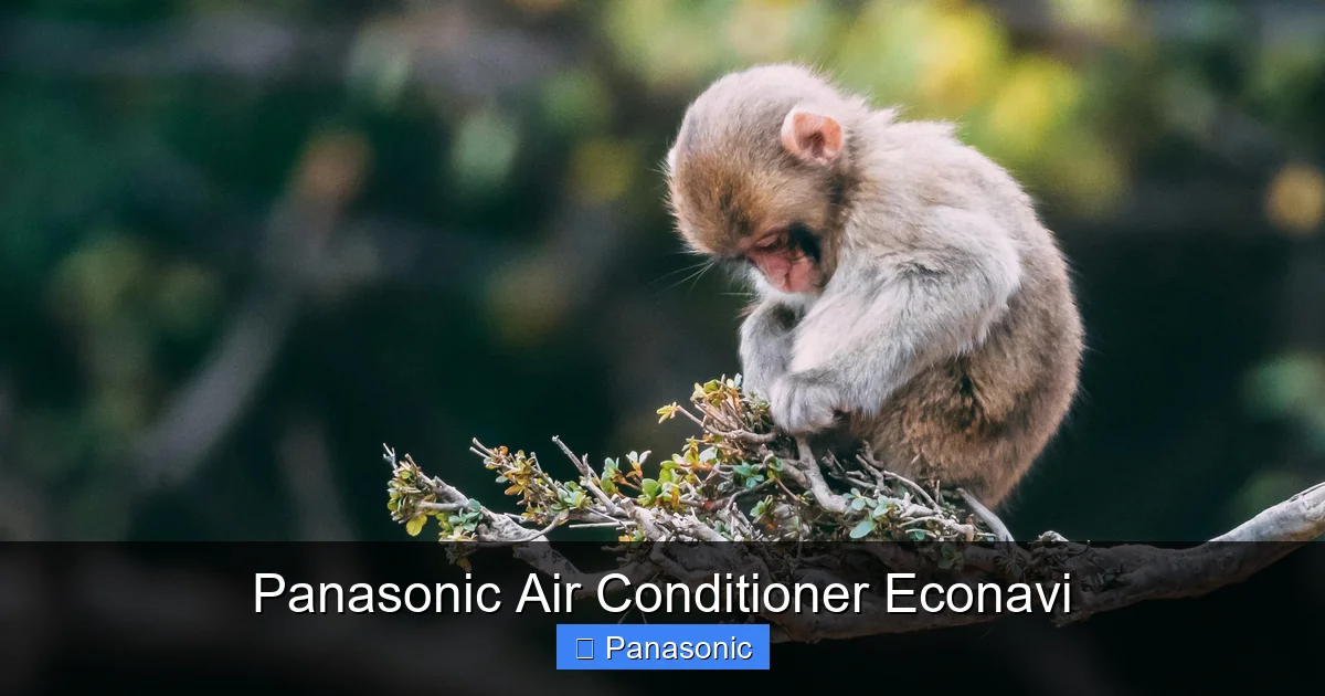 Panasonic Air Conditioner Econavi