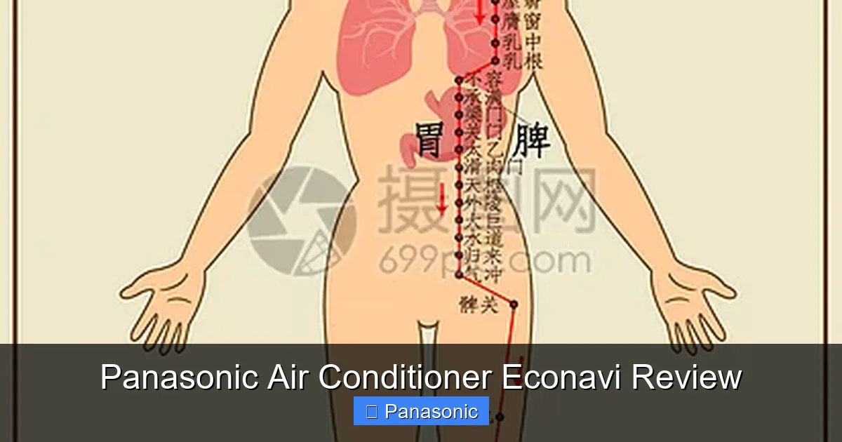 Panasonic Air Conditioner Econavi Review