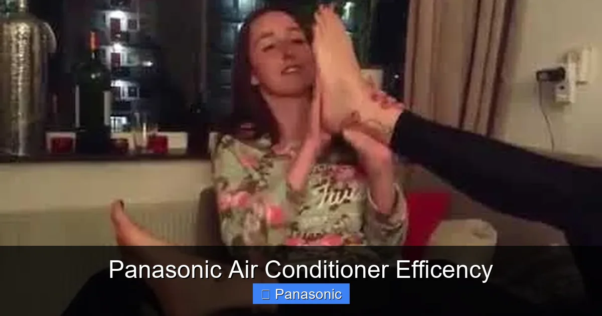 Panasonic Air Conditioner Efficency