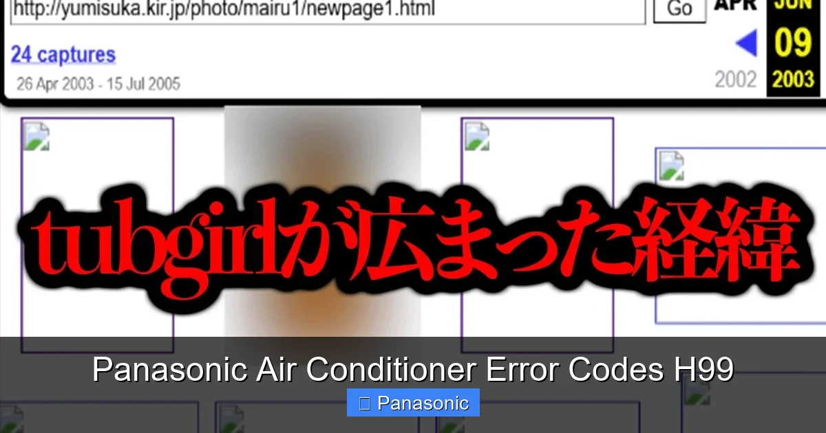 Panasonic Air Conditioner Error Codes H99