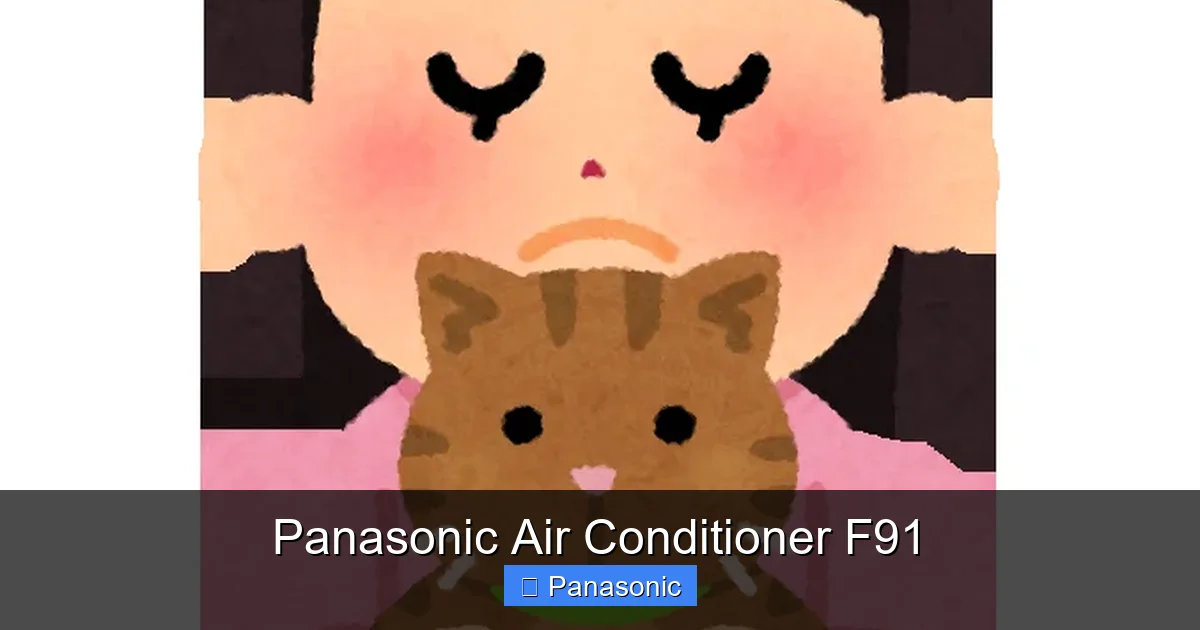Panasonic Air Conditioner F91