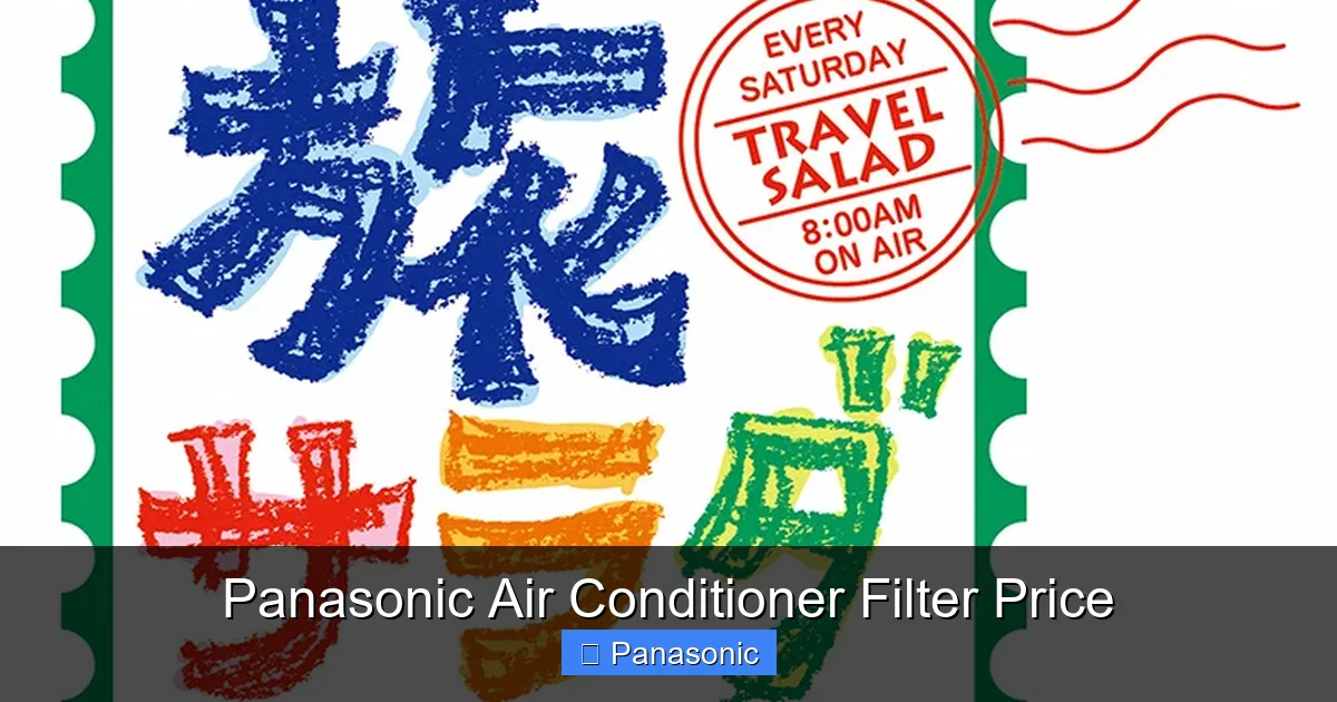 Panasonic Air Conditioner Filter Price