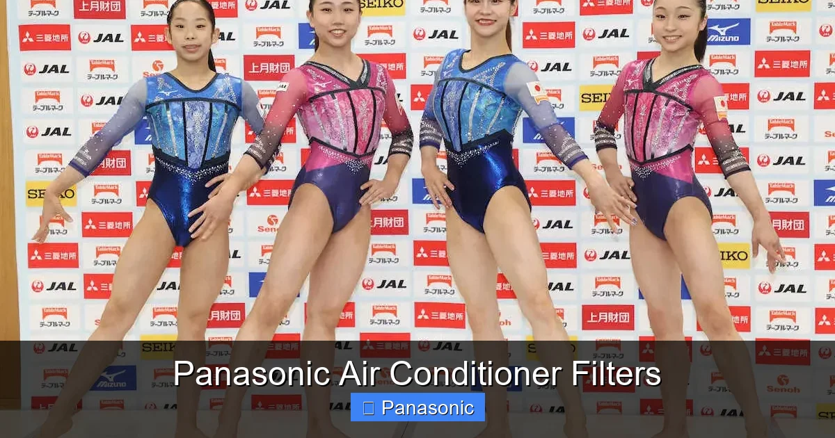 Panasonic Air Conditioner Filters