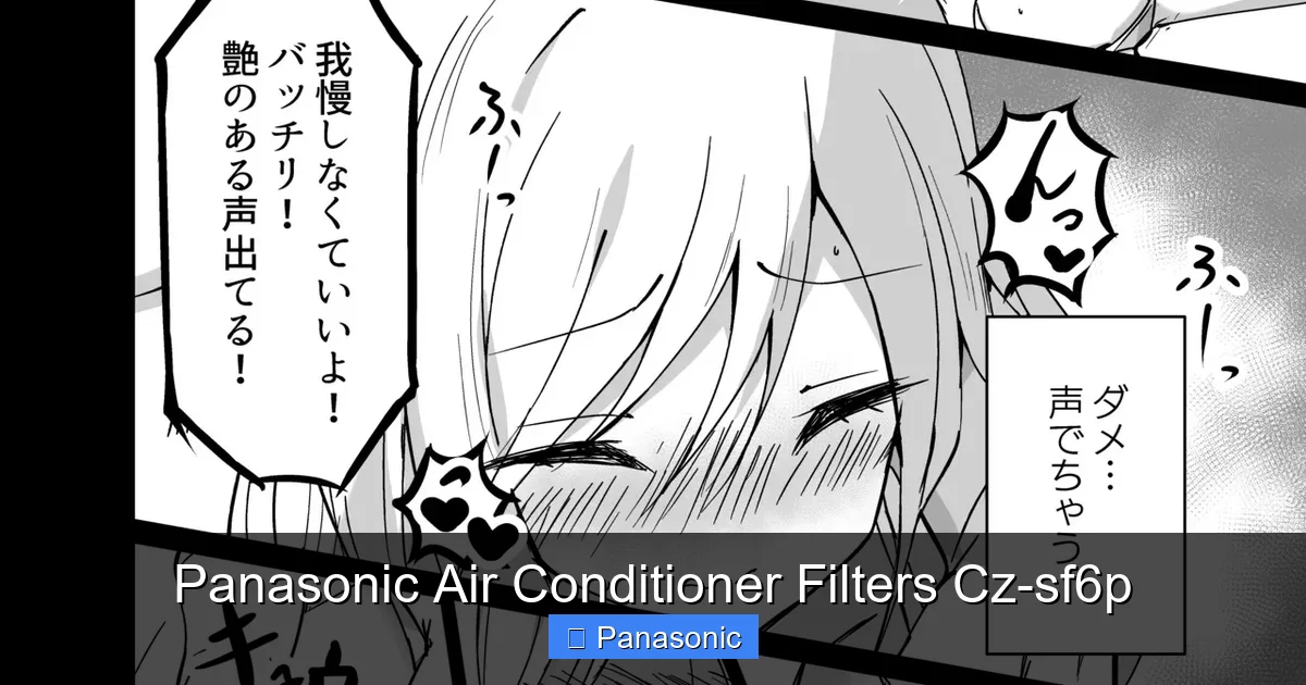 Panasonic Air Conditioner Filters Cz-sf6p