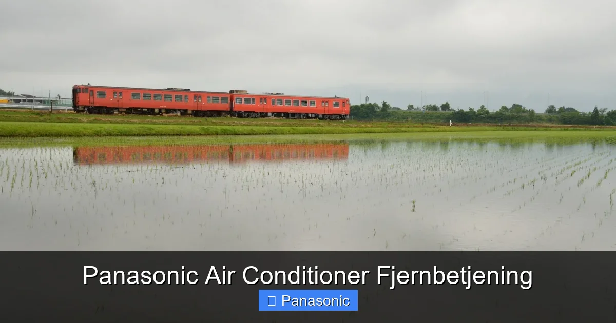 Panasonic Air Conditioner Fjernbetjening