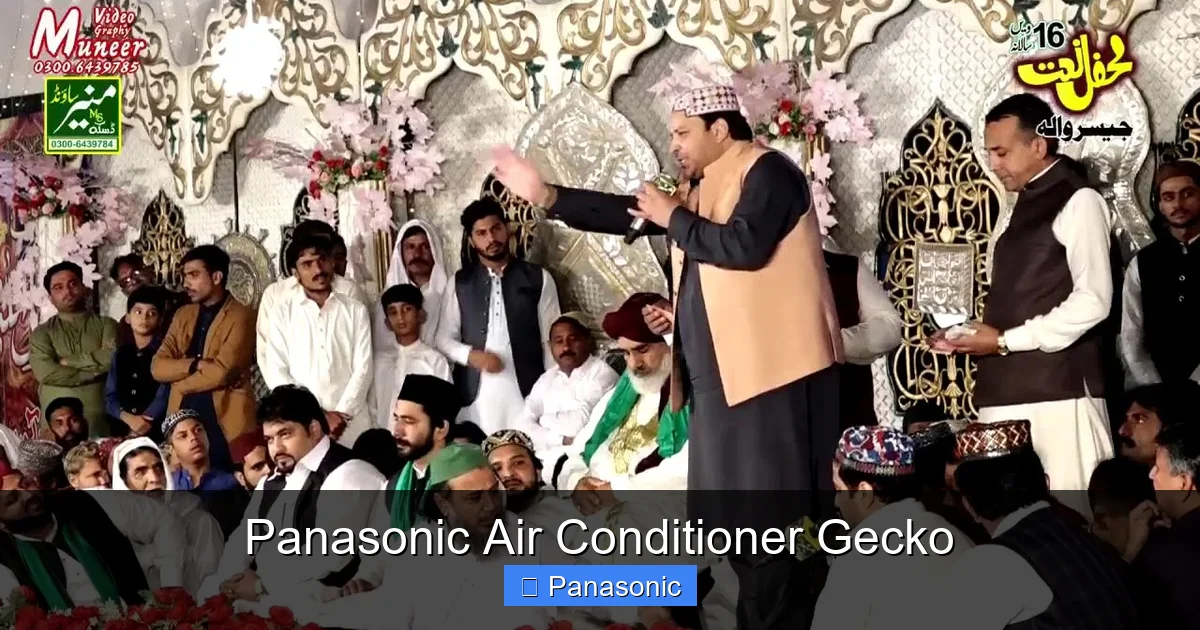 Panasonic Air Conditioner Gecko