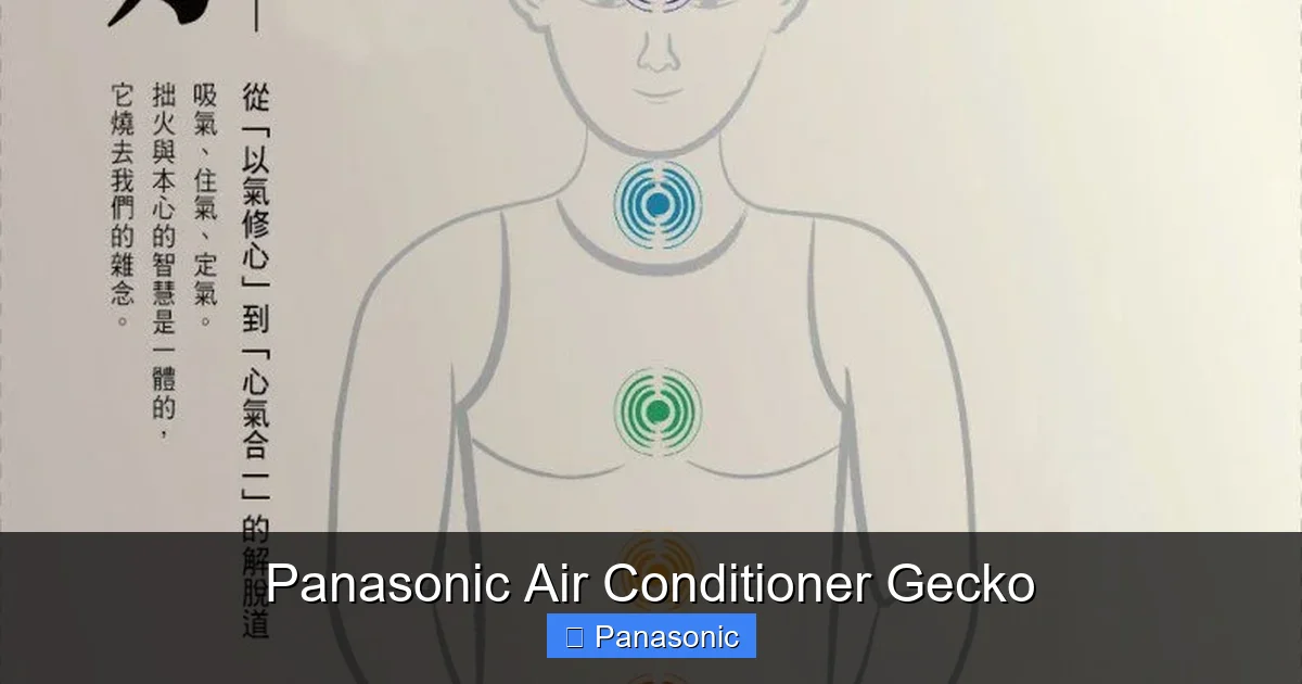Panasonic Air Conditioner Gecko