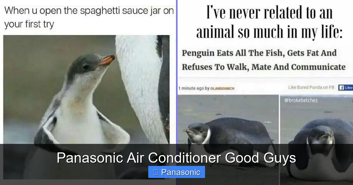 Panasonic Air Conditioner Good Guys