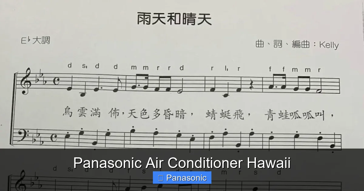 Panasonic Air Conditioner Hawaii