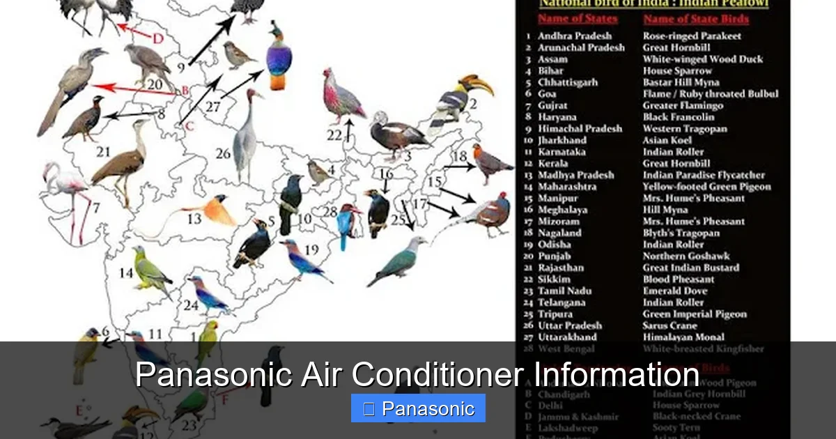 Panasonic Air Conditioner Information