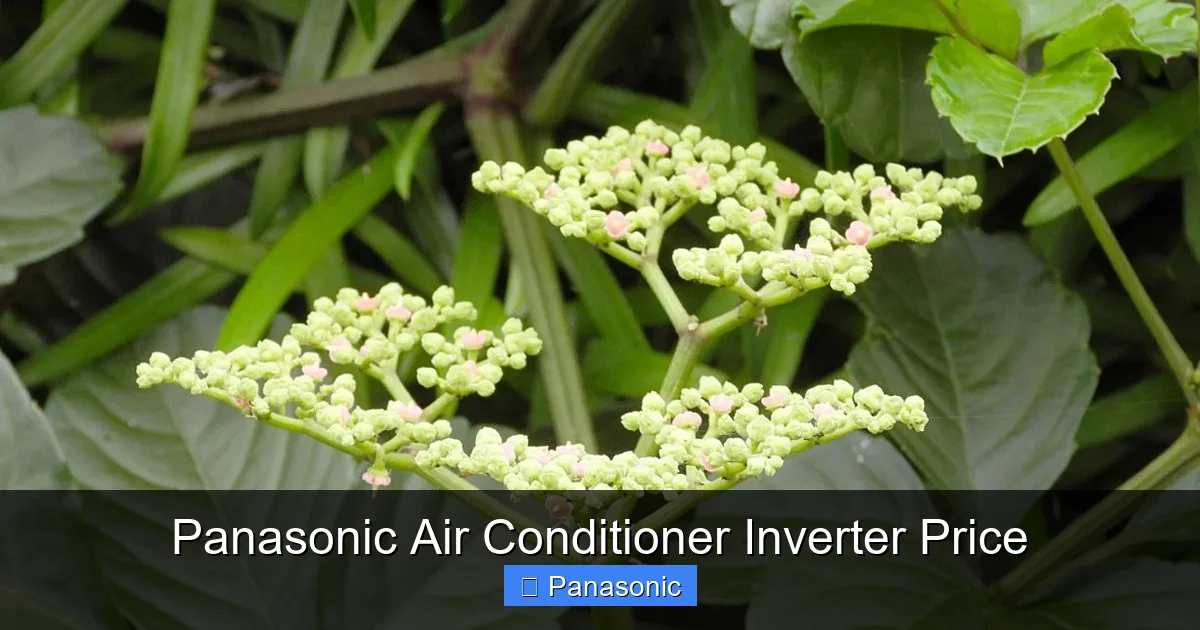 Panasonic Air Conditioner Inverter Price