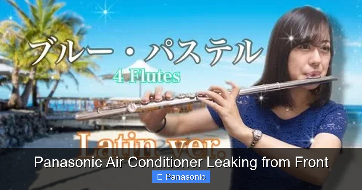 Panasonic Air Conditioner Leaking from Front