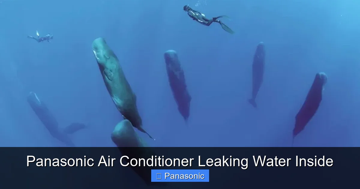 Panasonic Air Conditioner Leaking Water Inside