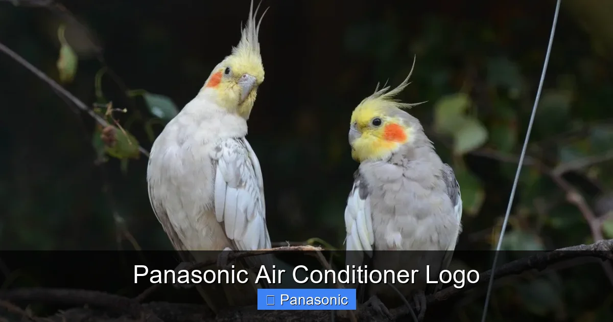 Panasonic Air Conditioner Logo