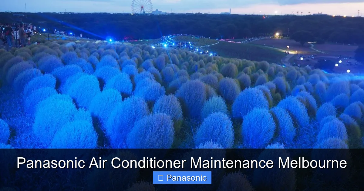 Panasonic Air Conditioner Maintenance Melbourne