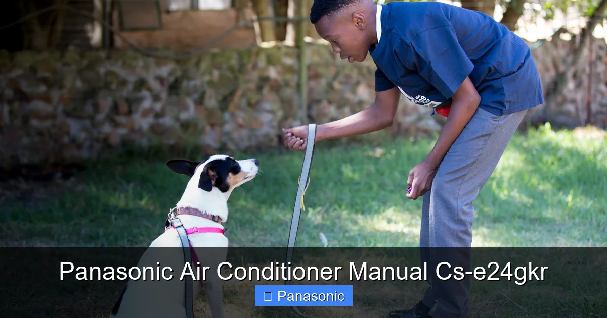 Panasonic Air Conditioner Manual Cs-e24gkr