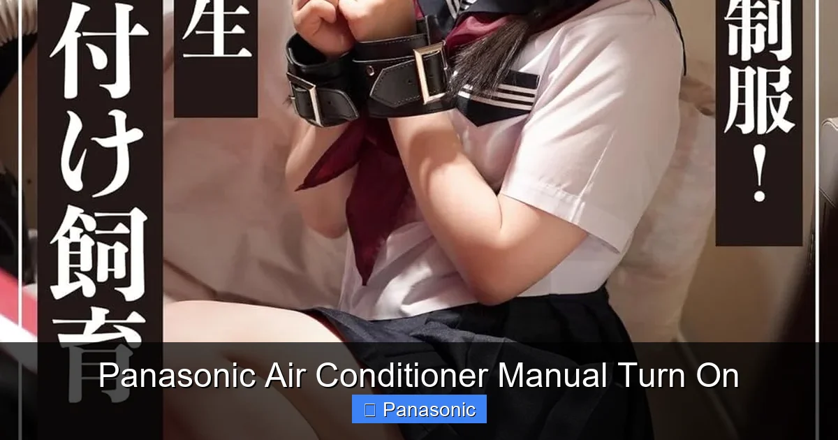 Panasonic Air Conditioner Manual Turn On