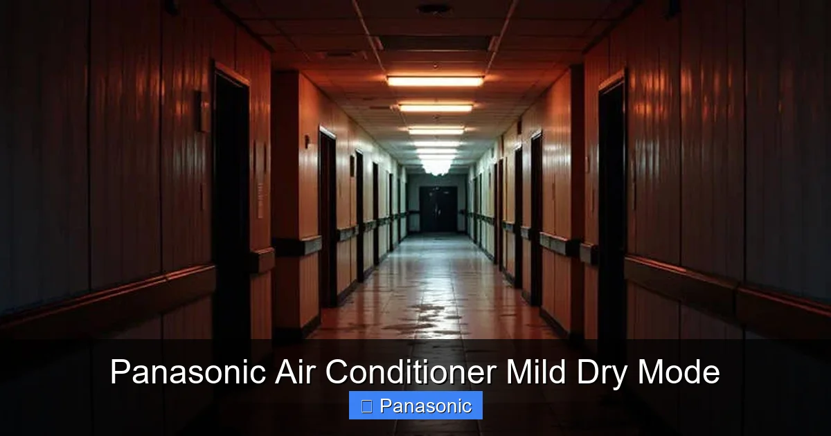 Panasonic Air Conditioner Mild Dry Mode