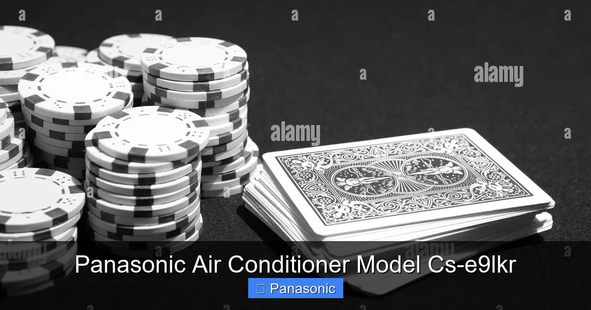 Panasonic Air Conditioner Model Cs-e9lkr