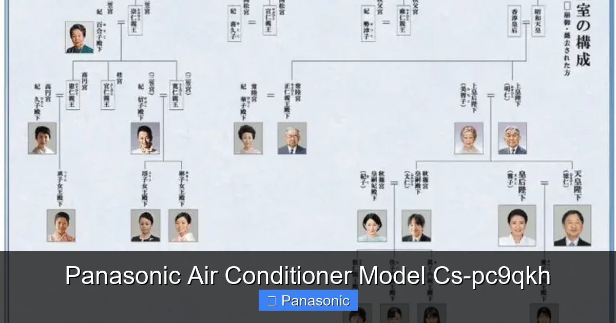 Panasonic Air Conditioner Model Cs-pc9qkh