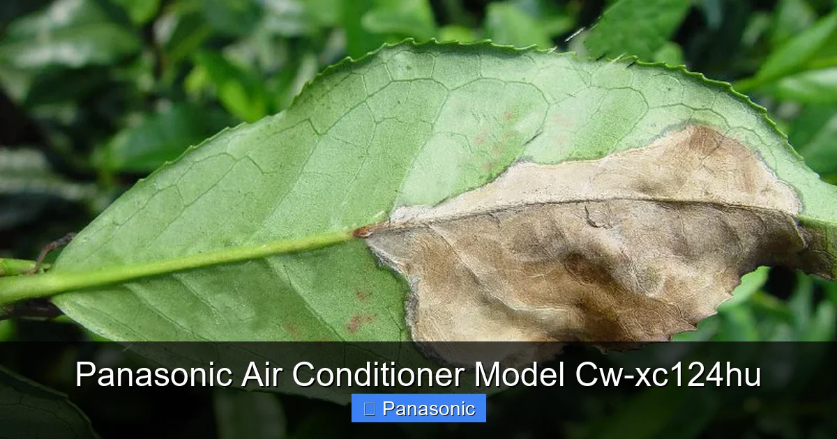 Panasonic Air Conditioner Model Cw-xc124hu