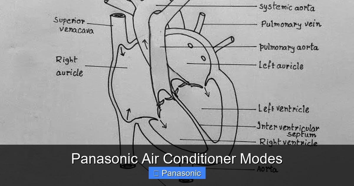 Panasonic Air Conditioner Modes