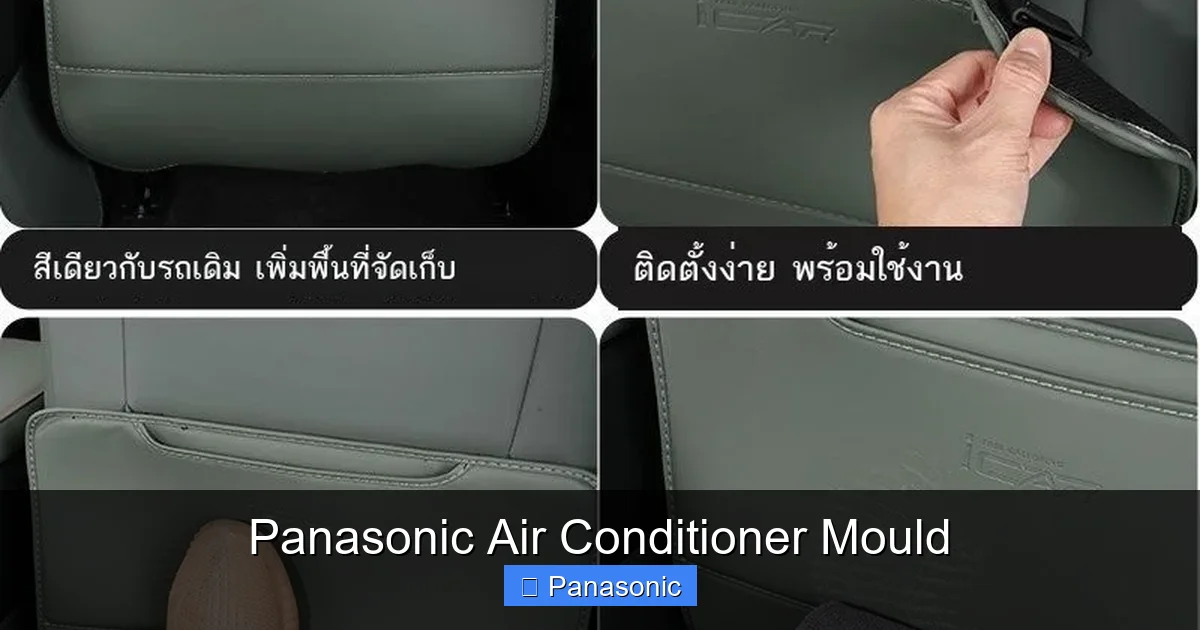 Panasonic Air Conditioner Mould