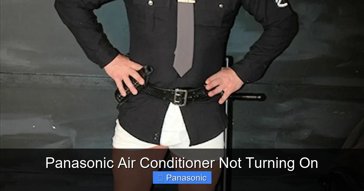 Panasonic Air Conditioner Not Turning On