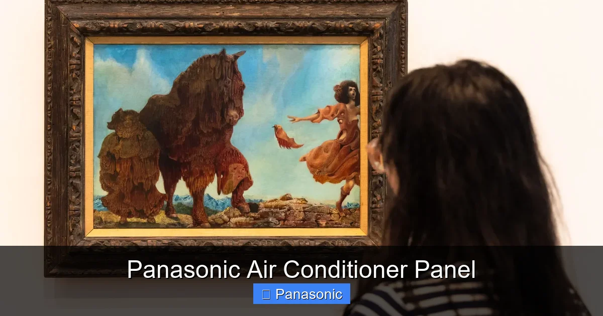 Panasonic Air Conditioner Panel