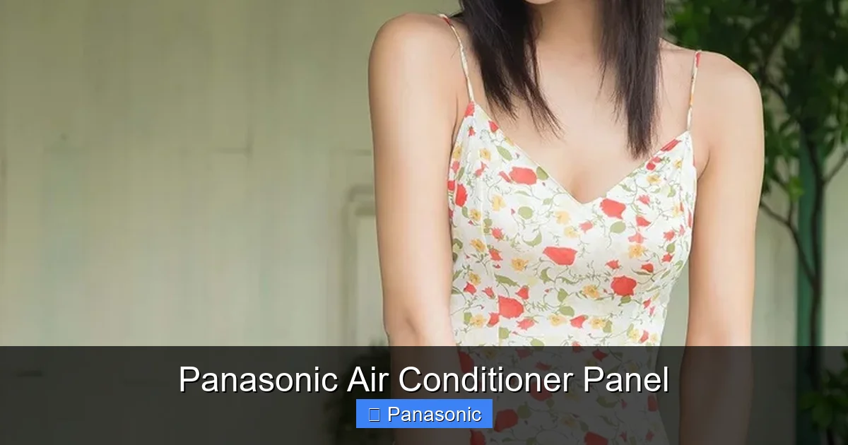 Panasonic Air Conditioner Panel