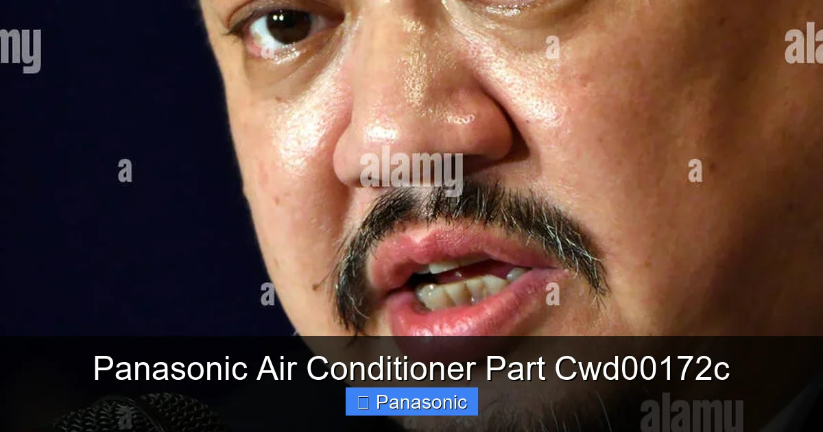 Panasonic Air Conditioner Part Cwd00172c