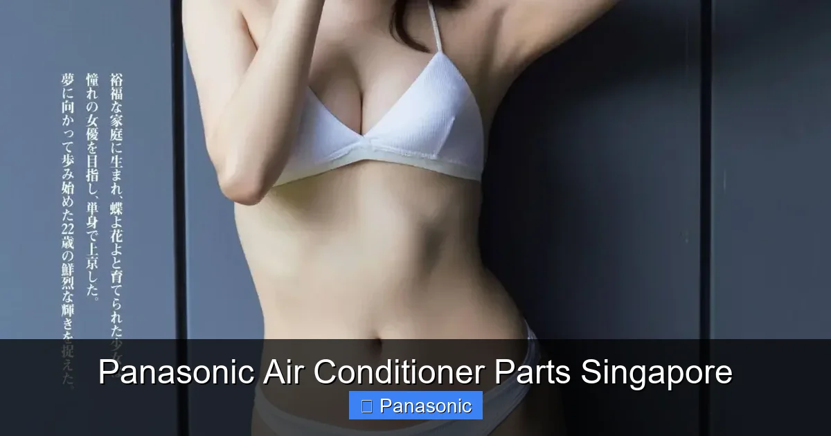 Panasonic Air Conditioner Parts Singapore